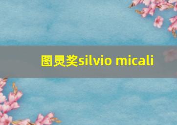 图灵奖silvio micali